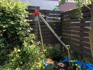 1AD07E36-F53C-4084-91F8-3FC9CB78298E.jpeg