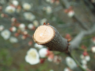 20101222_1614955.jpg