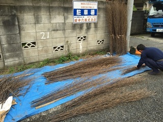IMG_1196.JPG